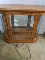 Oak & Glass Lighted Curio Cabinet(Hangable)