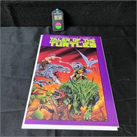 Tales of the Teenage Mutant Ninja Turtles 7