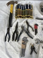 Hammer, pliers, wrenches, and other tools