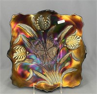 Butterfly & Tulip ftd square shaped bowl - purple