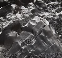 Brett Weston "Oregon" GSP Photo 1973