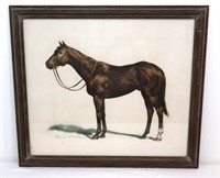 Vintage framed Mount Fleet horse art print