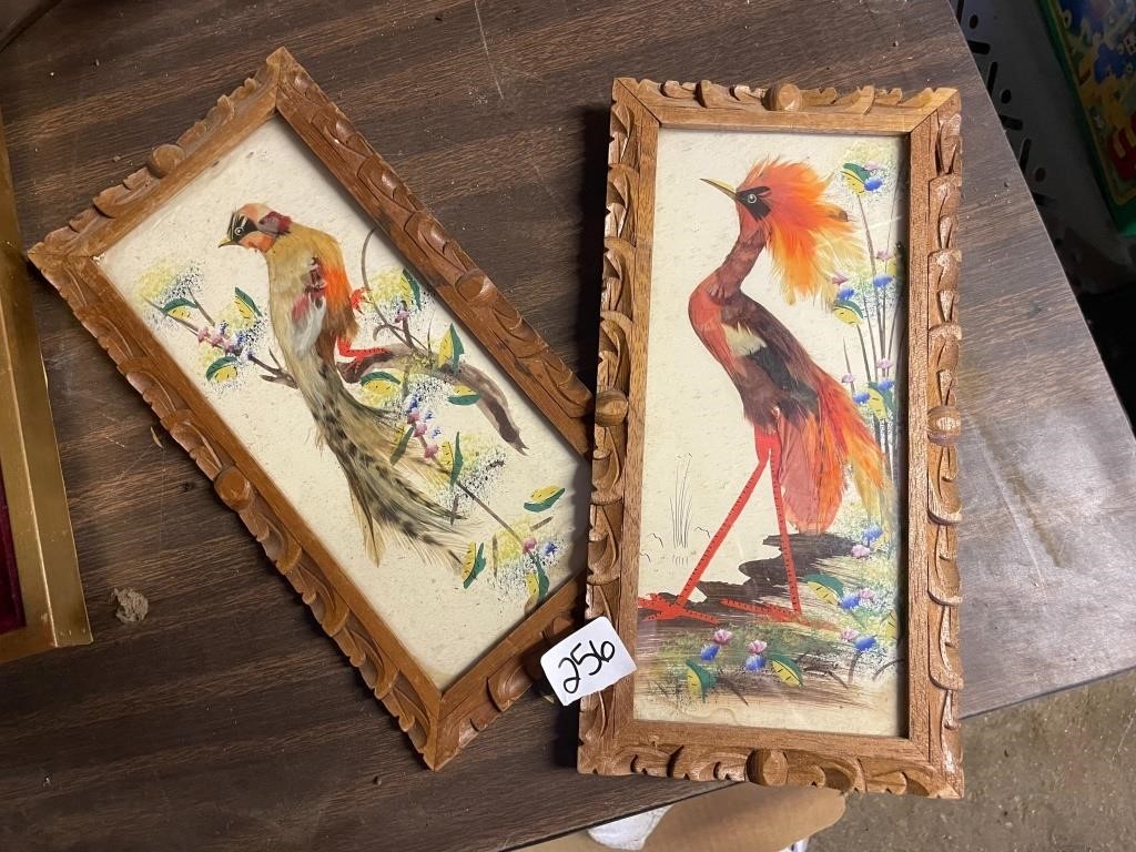 2 Framed Vintage birds- real feathers