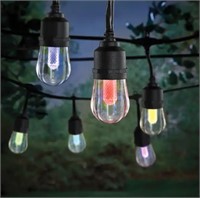 Outdoor/Indoor 24 ft. Bulb String Color Changing