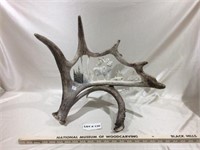 Elk Sculpture carved in moose antler