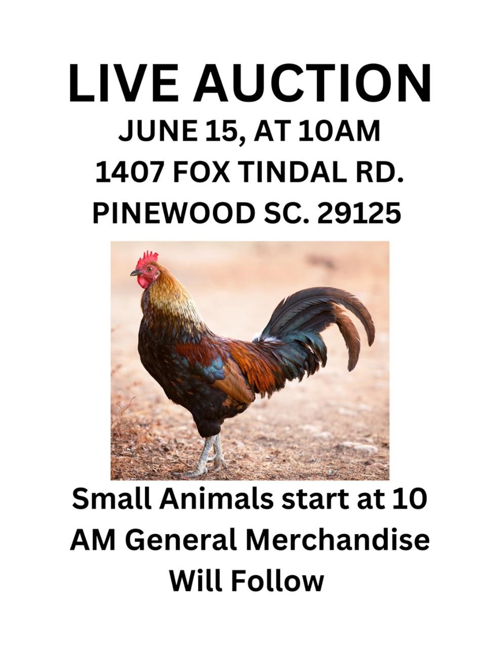 Tindal Farm Auction small animals and general merchandise