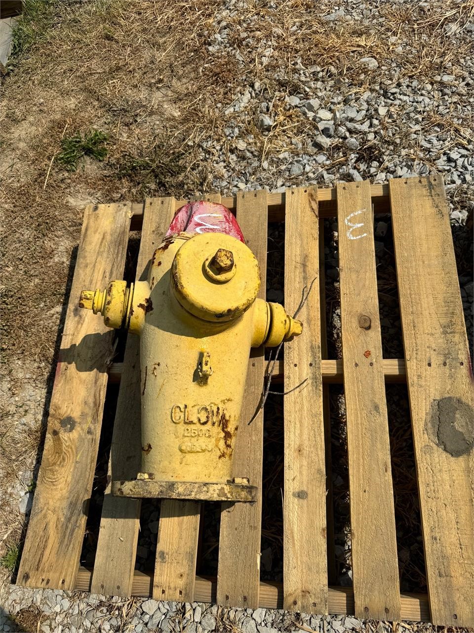 Yellow fire hydrant #2