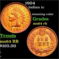 1904 Indian 1c Grades Choice Unc RB