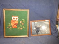 framed bird art