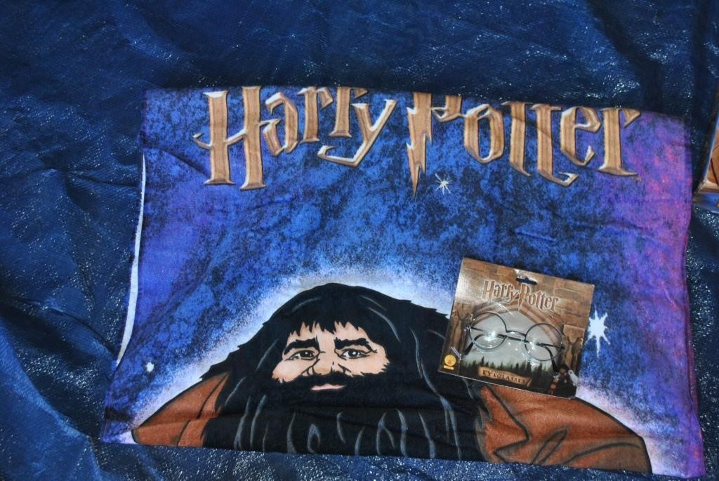 Harry Potter Beach towe with glasses New