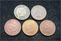 Lot of Five Indian Head Pennies