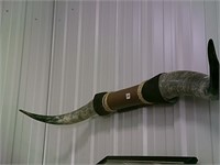 Texas Longhorn 58" from tip to tip