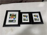 Picture frames two 5x7 one 8x10