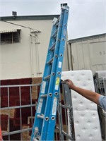 Blue Werner Exetension Ladder