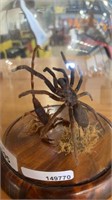 TAXIDERMY SPIDER AND SCORPION IN BATTLE