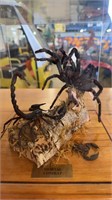 TAXIDERMY SPIDER AND SCORPION IN BATTLE