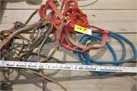 Halters and bridles