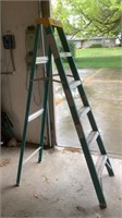 Davidson 6’ Fiberglass Step Ladder