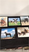Horse prints with cow print