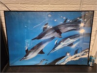 Dolphin Poster 24"×36"