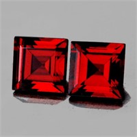 Natural Princess Red Garnet Pair{Flawless-VVS}