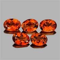 Natural Madeira Orange Citrine 5 Pcs(Flawless-VVS}