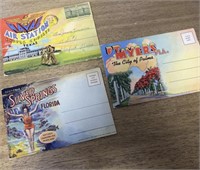 E2) vintage souvenir postcard folder lot Florida