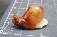 carnelian snail