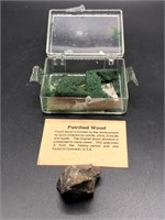 Petrified Wood Specimen from the Tertiary Period