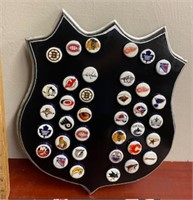 Hockey Plaque-NHL Teams