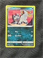 Pokemon Card  POOCHYENA