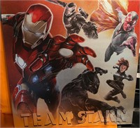Team Stark Canvas