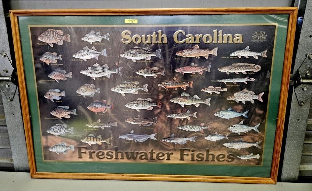 SOUTH CAROLINA FRESH WATER FISHERIES FRAMED PRINT,