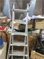 Multi Task Aluminum Ladder