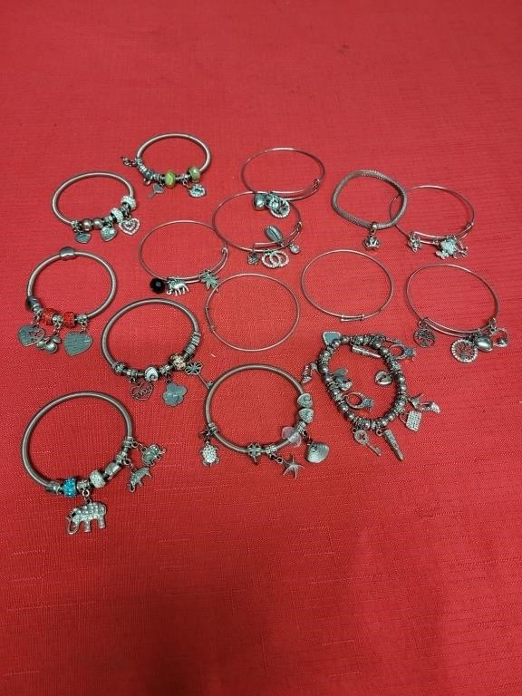 Lot of Women's Charm Bracelets