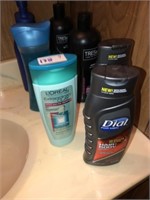 Shampoo & Body Wash (7)