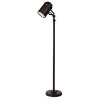 LED Studio Head Floor Lamp in Bronze