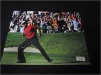 TIGER WOODS SIGNED 8X10 PHOTO AUD COA