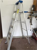 6’ Werner Ladder Metal