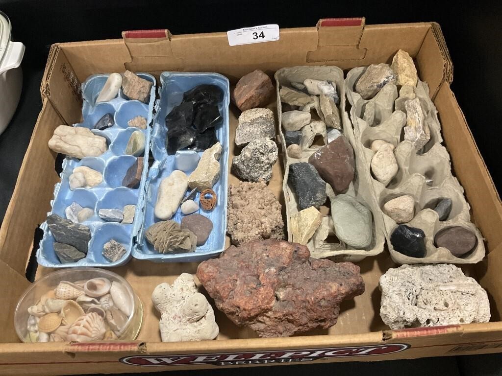 Various Stones, Rocks, Seashells.