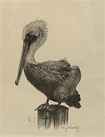 Framed Signed and Numbered Pelican Print