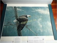 Limited Edition Robert Bateman Print