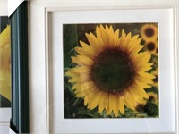 Framed Artd Work-sunflowers and roses