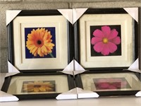 Framed Art Work-Flowers