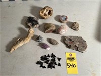 Shark Teeth, Fossils, Rocks, Misc