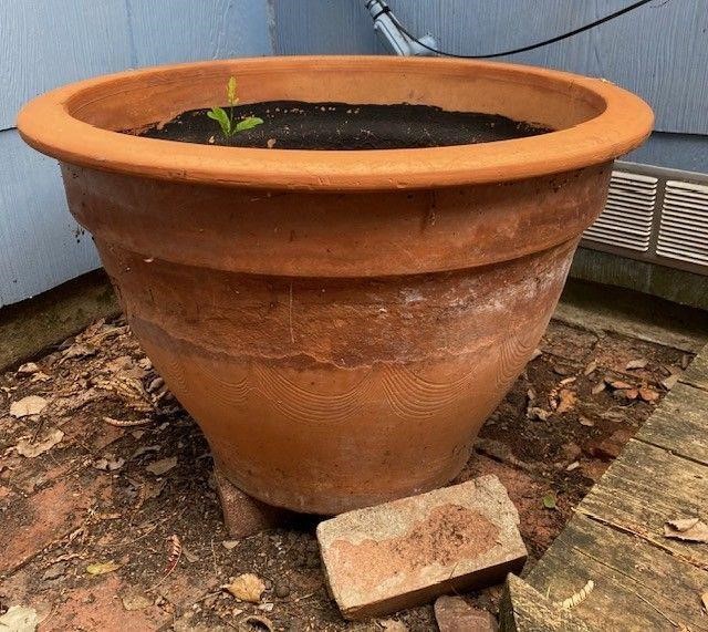 Large Terra Cotta Planter