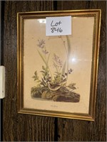 Framed Floral Print