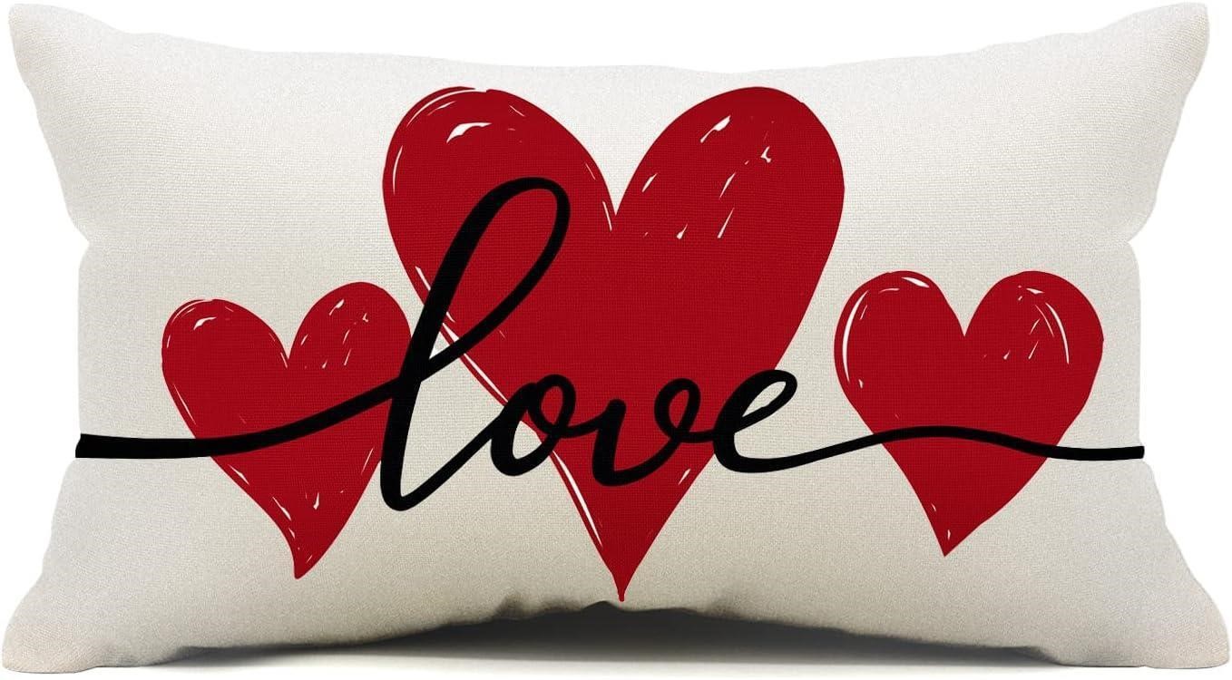 Valentines Day Pillow Cover