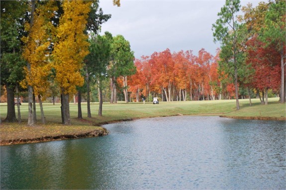 Fourth of July Land Auction: Own Your Piece of America!