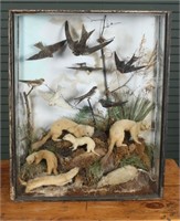 Late 19th to Turn of the Century Taxidermy Diorama